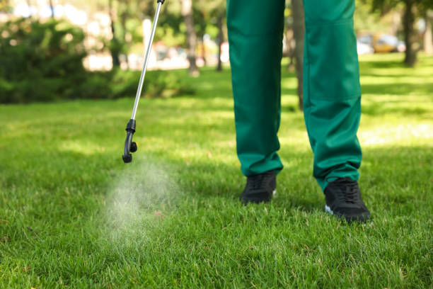 Best Wasp Removal Services  in Califon, NJ