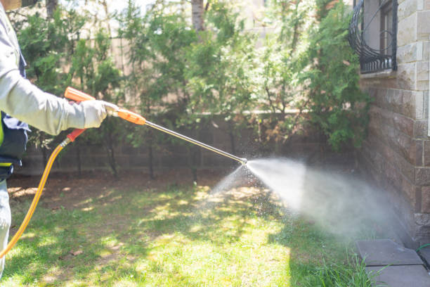 Best Pest Prevention Services  in Califon, NJ